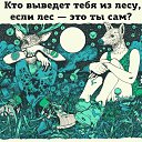 ���� ���������, ���������, 34 ���� - ��������� 15 �������� 2017