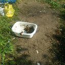 ���� ������, ����� ������, 58 ��� - ��������� 30 ���� 2017 � ������ ���������� ���� 2017�