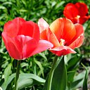 ���� ������, ������, 49 ��� - ��������� 3 ��� 2017 � ������ ������� Nikon�