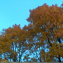 ���� �������, ������� - ��������� 17 ������� 2017 � ������ �������� 2017 ���