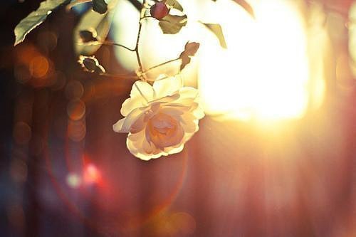 ������� � ����� �������, ������� �� ������� ��� ��������!!