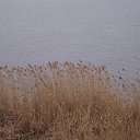 ���� ������, ������, 49 ��� - ��������� 9 ������ 2017 � ������ �SONY�