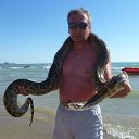 ���� �������, ��������, 60 ��� - ��������� 5 ������� 2017 � ������ ���� ����������