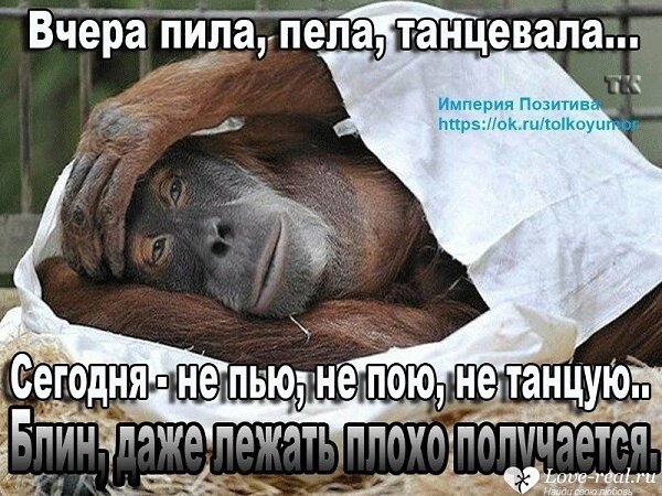 Жена с похмелья спрашивает у закодированного мужа: - Слышь, Толь, а ты когда пил, что делал, если на ...