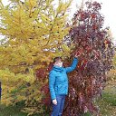 ���� ���������, ��������, 58 ��� - ��������� 29 �������� 2017 � ������ ���� ����������