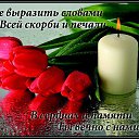 ���� �������, ��������� - ��������� 7 ������ 2017 � ������ ������ ��������