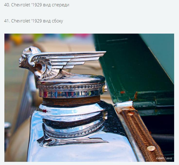 ����� �������� �������� ������� ������������ �����������. �������� �������, ����������������� ... - 36