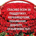 ���� �����, �����-��������� - ��������� 28 ���� 2017 � ������ ����� 2017 �.�
