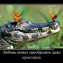 ���� ����, ������������ - ��������� 17 ������� 2017 � ������ ���� ����������