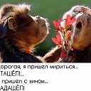 ���� �����, ������ - ��������� 18 ������ 2017 � ������ ������ ��������