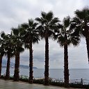  , , 60  -  24  2017    -,18,21.10.17.