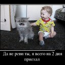  ,  -  9  2017    