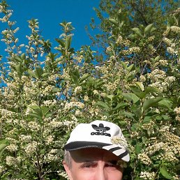 ���� ���, ����-�����������, 71 ��� - ��������� 15 ������ 2017