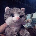    Ȼ