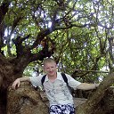 ���� ����� �����, ����������, 45 ��� - ��������� 15 �������� 2017 � ������ ���� ����������