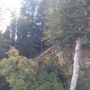  , , 51  -  5  2017    2017