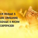 ���� ������, ������� - ��������� 22 ������� 2017 � ������ ������ ��������