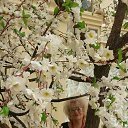 ���� �����, ������������ - ��������� 21 ��� 2017 � ������ �������.�