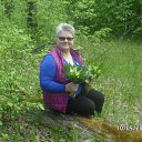 ���� �������, ��������, 69 ��� - ��������� 30 ��� 2017 � ������ ���� ����������