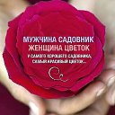 ���� ����, ������ - ��������� 9 ��� 2017 � ������ ���� ����������