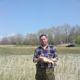 �������, ���������, 53 ����