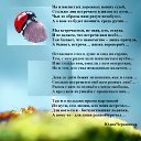 ���� �����, �������� - ��������� 27 ��� 2017 � ������ ������ ��������