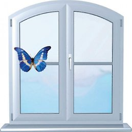 ����������, ������, 51 ���