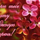 ���� �������, �������� - ��������� 8 ��� 2017 � ������ �������� ��������