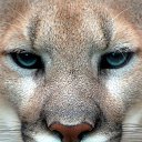 ���� ����� �����, ����, 50 ��� - ��������� 11 ���� 2017 � ������ �������� ������