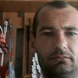 Roman, ������, 43 ����