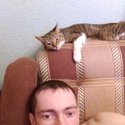 Sharhan, ���������, 39 ���