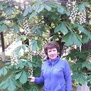 ���� �������, ����������, 61 ��� - ��������� 17 ��� 2017 � ������ ���� ����������