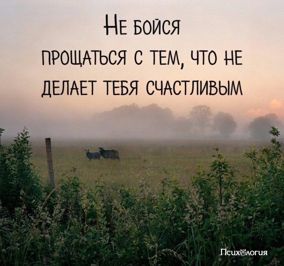 ���������� - 5 ������� 2017 � 18:20