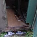 ���� ������, �����������, 33 ���� - ��������� 11 ���� 2017 � ������ ������ ��������