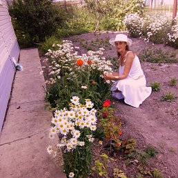 Laperuca, ������, 71 ���