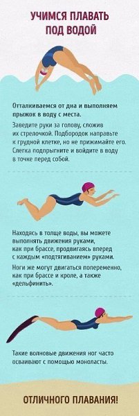 Полный гид для тех, кто хочет научиться плавать как рыба в воде. #полезное@rules4life - 10