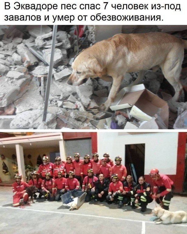   :    - 13  2017  14:23