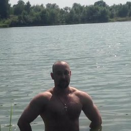 �������, ������, 41 ���