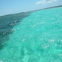 ���� ����, ��������� - ��������� 24 ������ 2017 � ������ ������ ��������