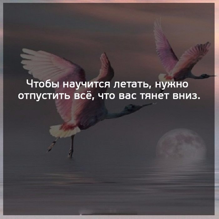 ������� ����� ������� ������ - 15 �������� 2017 � 19:59
