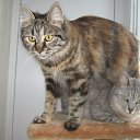 ���� E����, �����-���������, 57 ��� - ��������� 23 ���� 2017 � ������ ������ ��������