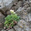 ���� �������, ����-���������, 62 ���� - ��������� 19 ���� 2017 � ������ ������ ���� �������� - ��������