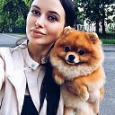 ���� ��������, ������ - ��������� 8 �������� 2017