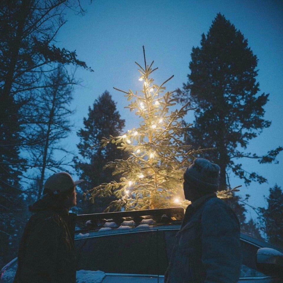   . - 5