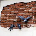 ���� Vidas, ��������, 64 ���� - ��������� 14 ������� 2017 � ������ ������ ��������