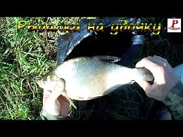 ������� � �������� ���� ������! (12.06.17)