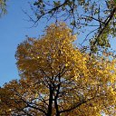 ���� Aleksandra, �����-���������, 48 ��� - ��������� 23 ������� 2017 � ������ ��������