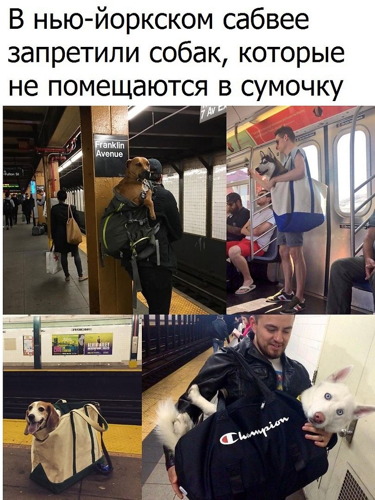   - 10  2017  05:40