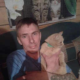 ���� ������, �����������, 49 ��� - ��������� 31 ������� 2017