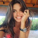 ���� ������, ������, 26 ��� - ��������� 3 ��� 2017 � ������ ���� ����������